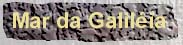 tecgalil.jpg (4279 bytes)