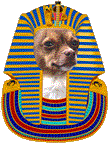 neferchichi.gif (8065 bytes)