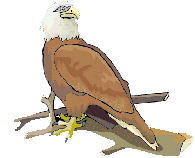 Aguia.GIF (7460 bytes)