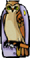 coruja.GIF (5427 bytes)